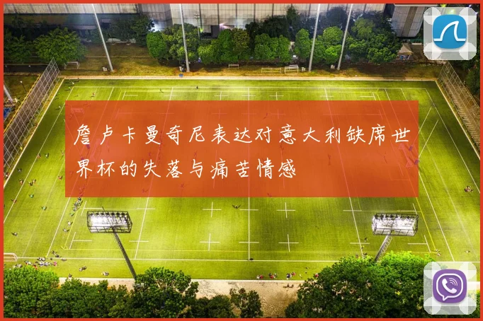 詹卢卡曼奇尼表达对意大利缺席世界杯的失落与痛苦情感